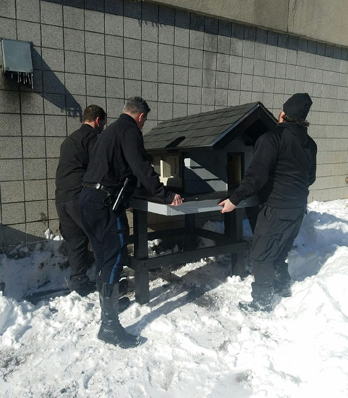 Полицейские построили настоящий дом для кота