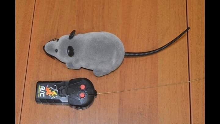 Подарок взрослому мужчине с котом